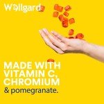 Wellgard Vegan Apple Cider Vinegar Gummies, 1000mg