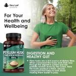 Psyllium Husk Probiotic Capsules for Digestive Health