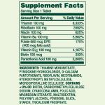 Spring Valley B-100 Complex Timed-Release Tablets, 60 Count