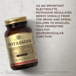 Solgar Potassium Supplement - 100 Tablets