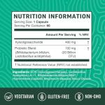 40 Billion CFU Probiotics for Gut Health