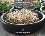 Organic Alfalfa Sprouting Seeds 250g - Nutrient-Rich