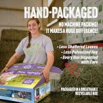 Alfalfa Hay for Young Rabbits and Small Pets