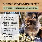 Organic Premium Alfalfa Hay for Small Pets
