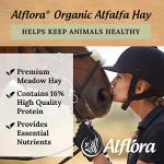 Organic Premium Alfalfa Hay for Small Pets