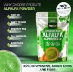 Organic Alfalfa Powder 500g - Vegan Superfood