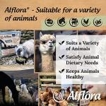 Organic Premium Alfalfa Hay for Small Pets