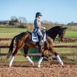 Spillers Conditioning Fibre Horse Feed 20kg