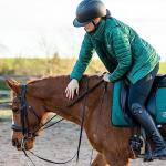 Spillers Conditioning Fibre Horse Feed 20kg