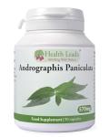 Andrographis Paniculata 570mg - 90 Capsules