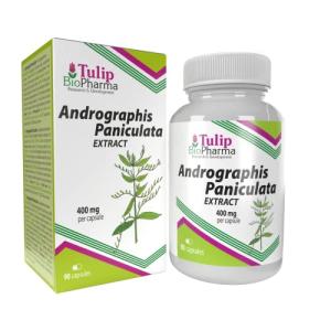 High Strength Andrographis Paniculata 400mg 90 Capsules