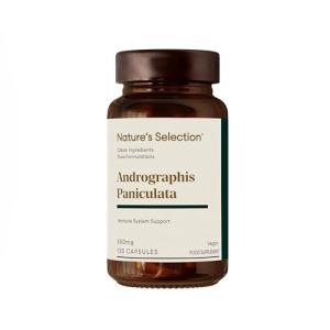 Andrographis Paniculata 500mg - Vegan High Strength Capsules