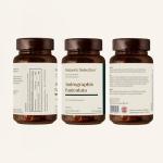 Andrographis Paniculata 500mg - Vegan High Strength Capsules