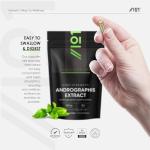 High Strength Andrographis Extract 500mg - 90 Vegan Capsules