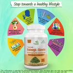 Andrographis Kalmegh Herbal Capsules