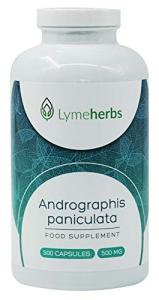 Andrographis Paniculata 500 mg - 500 Capsules