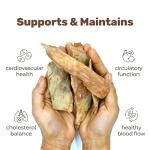 H&C Arjuna Tablets - 750mg for Heart Health