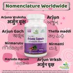 Ayushya Arjuna Natural Capsules - 60 Count