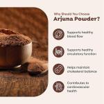 H&C Arjuna Capsules 450mg - 120 Count