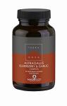 Terra Nova Astragalus, Elderberry & Garlic Blend