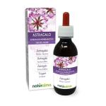 Alcohol-Free Astragalus Root Tincture - 120 ml