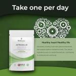 Bodygenix Astragalus 1000mg Capsules for Immune Support