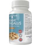 Organic Astragalus Capsules for Immune Support