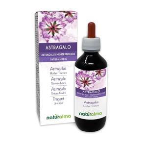 Astragalus Roots Alcohol-Free Tincture 200ml Vegan