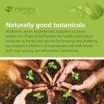 Astragalus Root Cut 1kg - Health Supplement