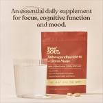 Ashwagandha KSM-66® & Lion's Mane Tablets