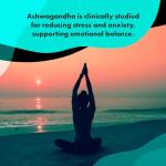 High Strength Ashwagandha 125 mg – 180 Vegan Tablets