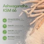 High Strength Ashwagandha KSM 66 with B Vitamins
