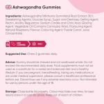 Ashwagandha Gummies 1200mg, Raspberry Flavor, 120 Count