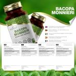 Ezyleaf High Strength Bacopa Monnieri 500mg 120 Caps