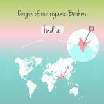 Organic Bacopa Monnieri 1500 mg - 180 Tablets