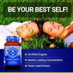 Organic Bacopa Monnieri Capsules - High Strength Supplement