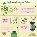 Organic Bacopa Monnieri 1500 mg - 180 Tablets