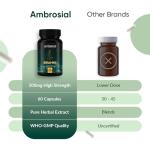 Bacopa Monnieri Brain Booster Capsules - 500mg