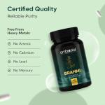 Bacopa Monnieri Brain Booster Capsules - 500mg