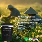 Bacopa Monnieri 500mg Vegan Capsules - 60 Count