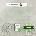 Bacopa Monnieri Extract 500mg for Mental Focus