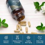 Organic Brahmi Capsules for Stress and Memory Support