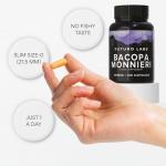 Bacopa Monnieri Capsules 350mg - Vegan Memory Boost