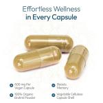 Organic Brahmi Capsules for Stress and Memory Support