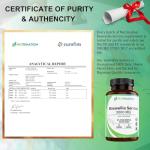 Boswellia Serrata Capsules 5000mg for Joint Support