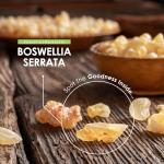 Boswellia Serrata Extract 3000mg - 60 Capsules
