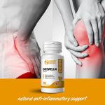 Boswellia Serrata Vegan Capsules for Joint Support