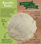 Boswellia Serrata Powder for Pain Relief - 1kg
