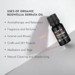 Organic Frankincense Oil - 10 ml Therapeutic Grade