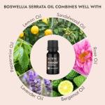 Organic Frankincense Oil - 10 ml Therapeutic Grade